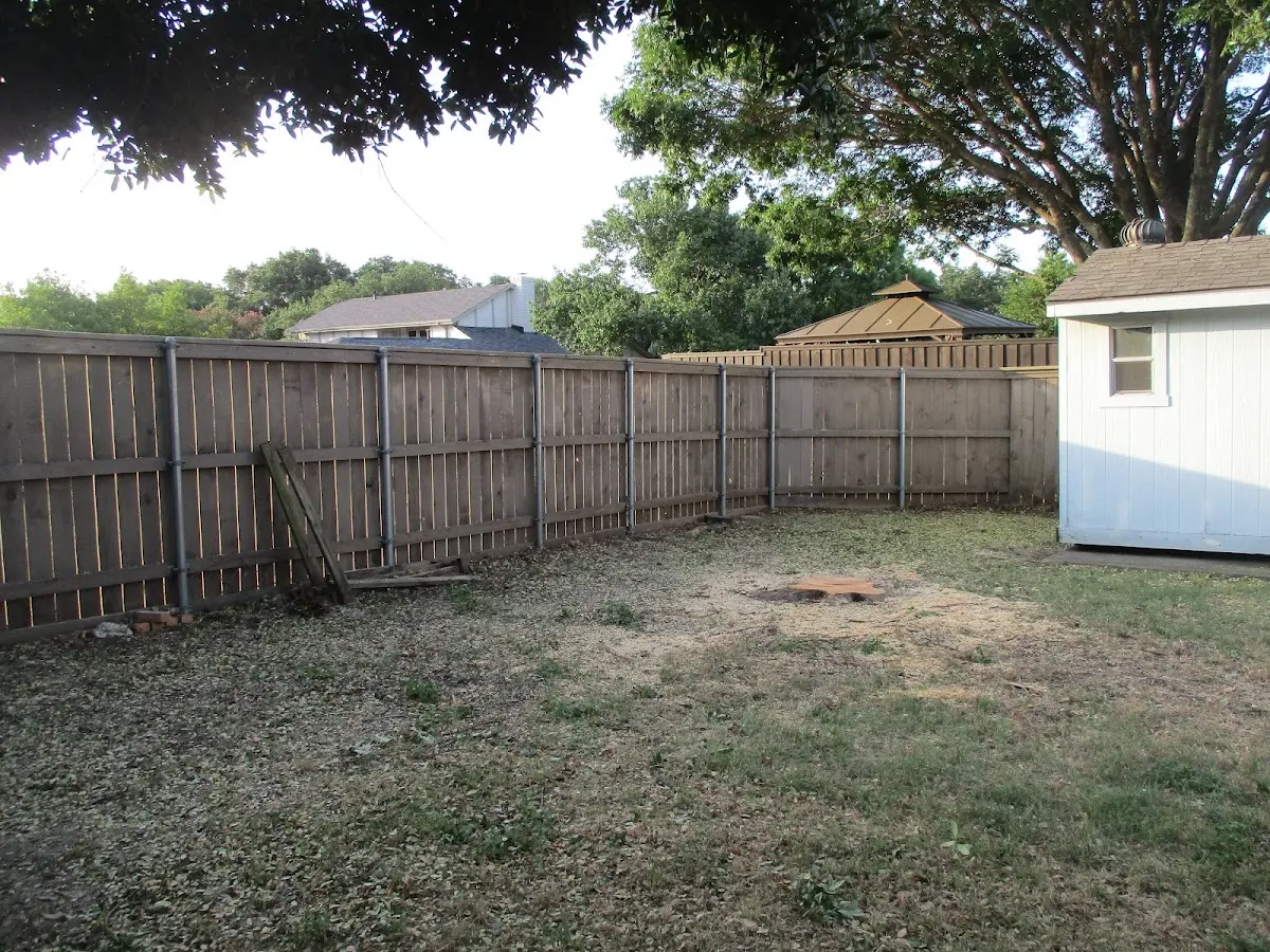 Cleared yard after professional tree removal in Cluster Springs